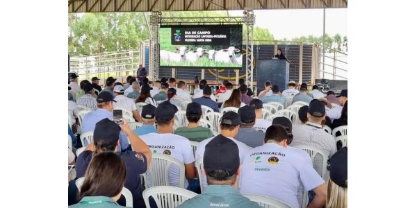 Lorem ipsum dolor sit amet