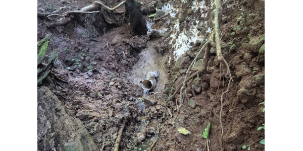 Lorem ipsum dolor sit amet