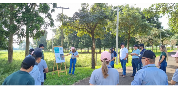 Lorem ipsum dolor sit amet