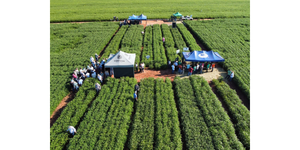 Lorem ipsum dolor sit amet