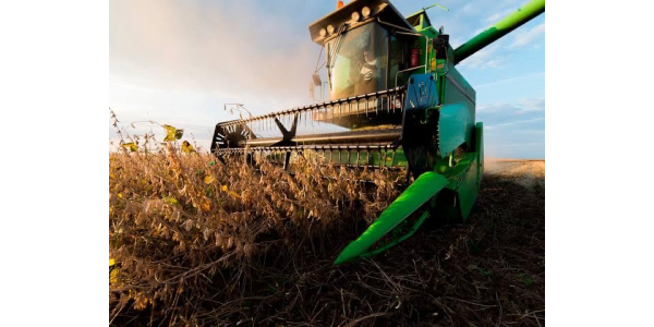 Lorem ipsum dolor sit amet