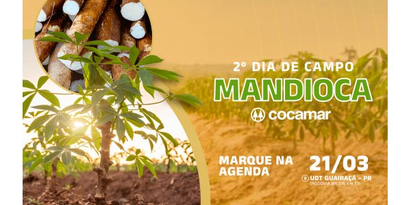 Lorem ipsum dolor sit amet