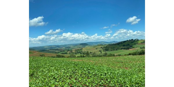 Lorem ipsum dolor sit amet