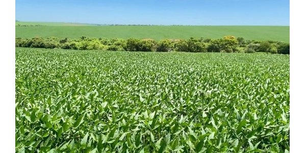 Lorem ipsum dolor sit amet