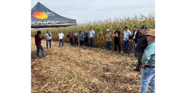 Lorem ipsum dolor sit amet