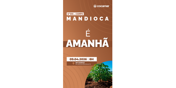  Dia de Campo Mandioca deve reunir 350 participantes na quinta-feira (9/4) na UDT da Cocamar em Guaira&ccedil;&aacute; (PR) 