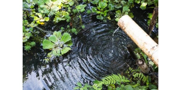 Lorem ipsum dolor sit amet