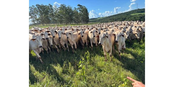 Lorem ipsum dolor sit amet