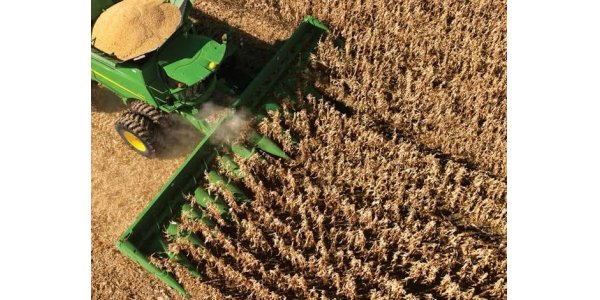 Lorem ipsum dolor sit amet