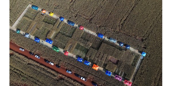 Lorem ipsum dolor sit amet