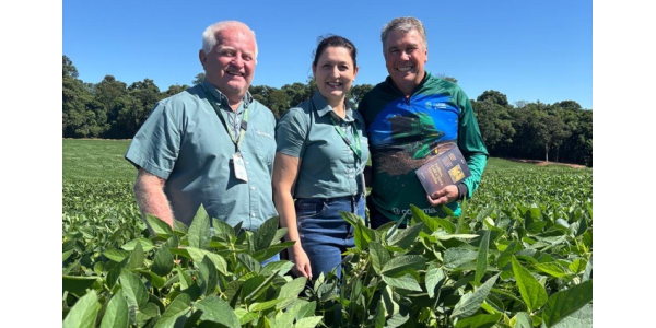 Ap&oacute;s um in&iacute;cio complicado, soja pode ter uma colheita melhor que a esperada