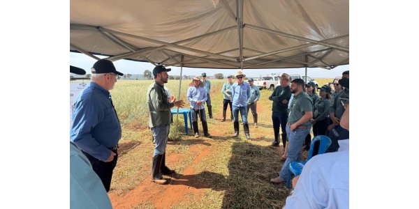 Lorem ipsum dolor sit amet