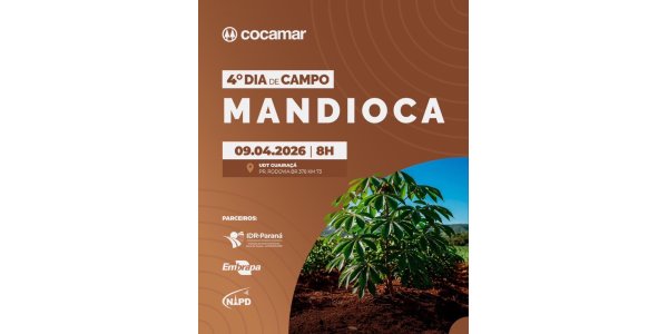 Cocamar promove o 4&ordm; Dia de Campo Mandioca no dia 9 de abril