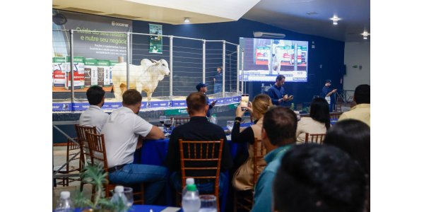 Lorem ipsum dolor sit amet