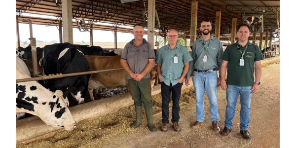 Leite e soja, uma dobradinha de sucesso em Arapongas  