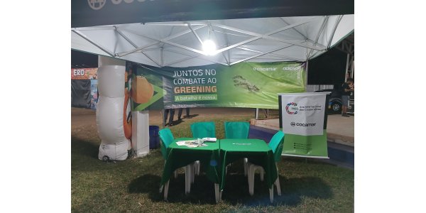 Conscientização da população em Atalaia (PR) sobre o avanço do greening na Laranja