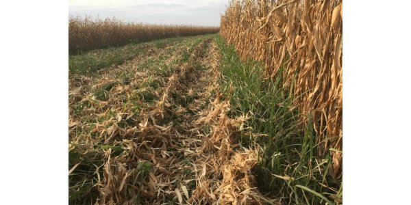 Lorem ipsum dolor sit amet