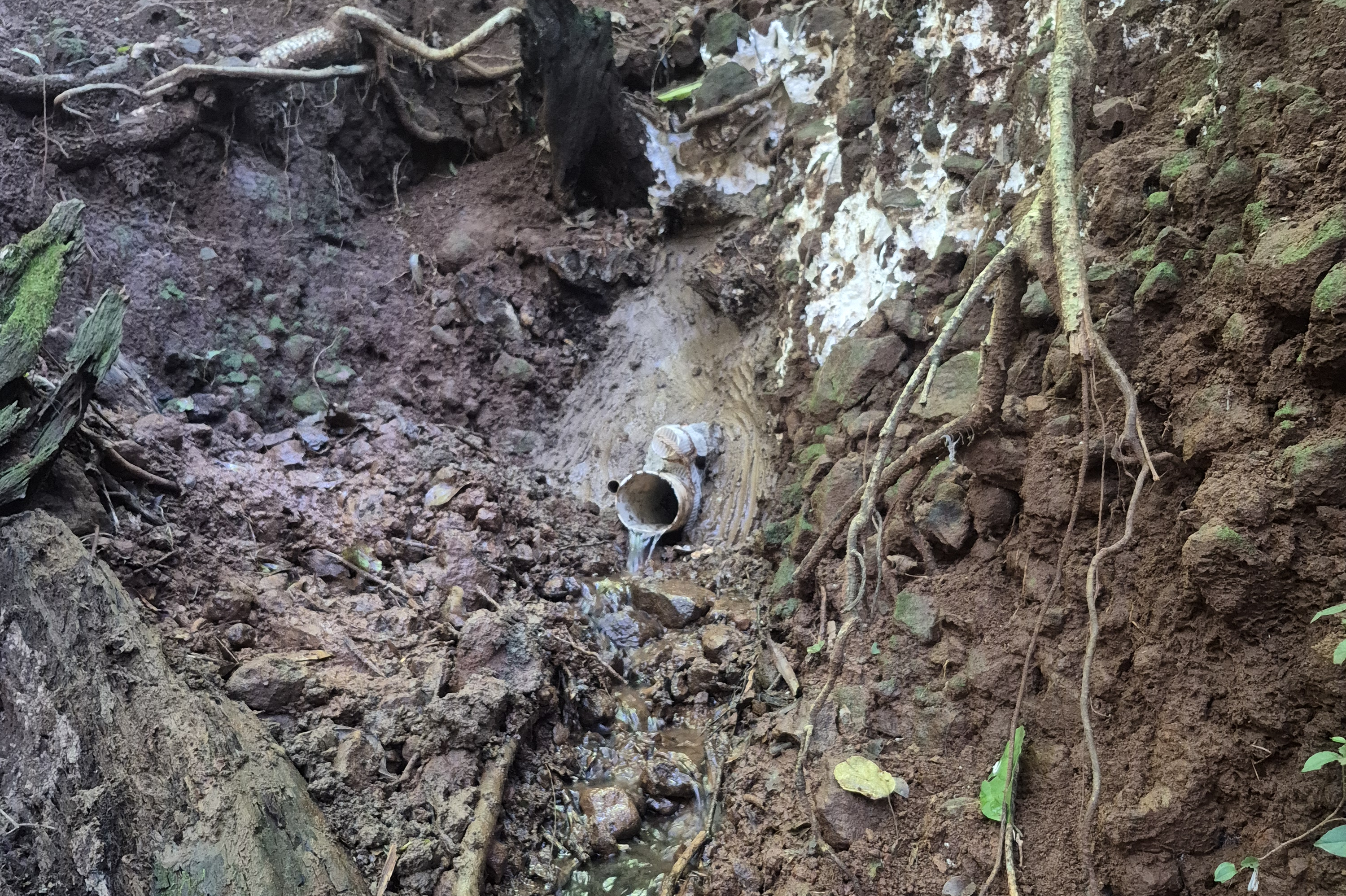 Na bacia do Rio Pirapó, Programa de Conservação de Nascentes chega à terceira fase