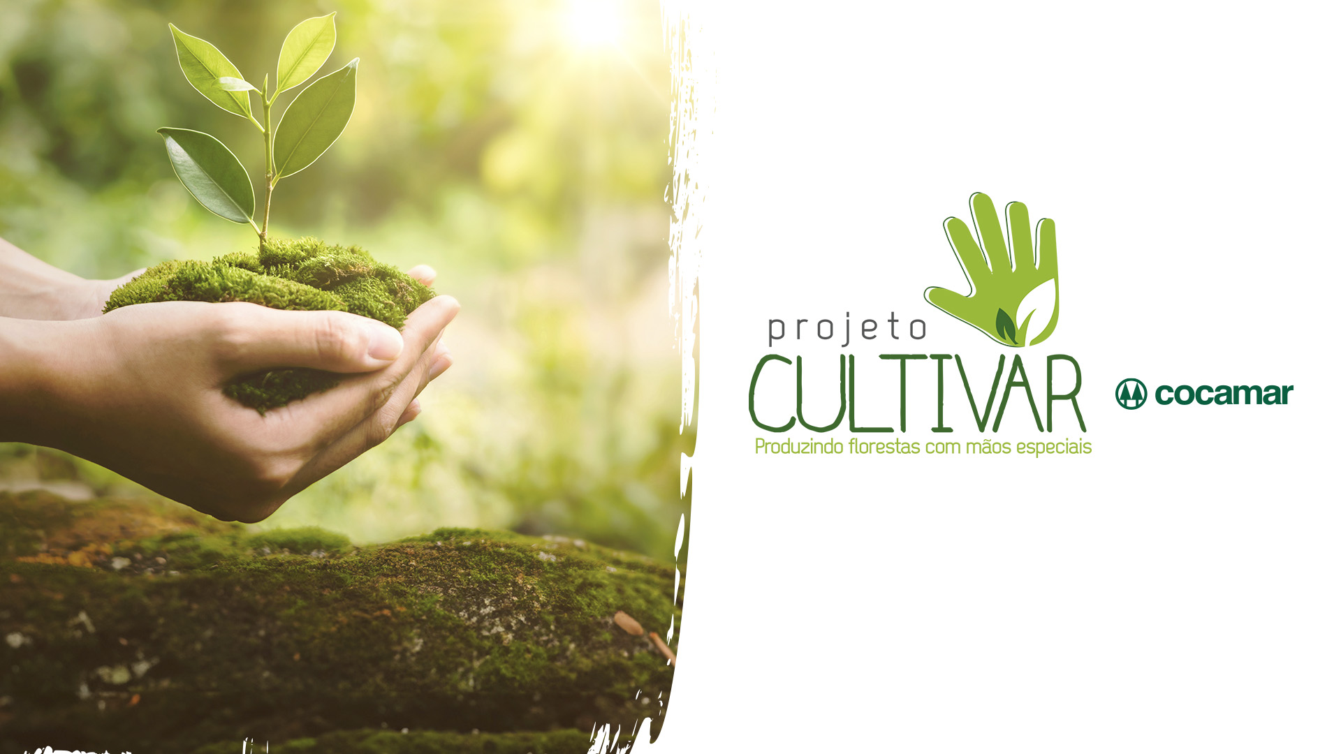 Com o Programa Cultivar, Cocamar  participa da Arena Sustentável Maringá