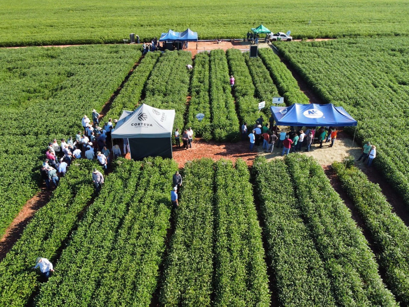 Dias de Campo movimentam cooperados em todas as regiões