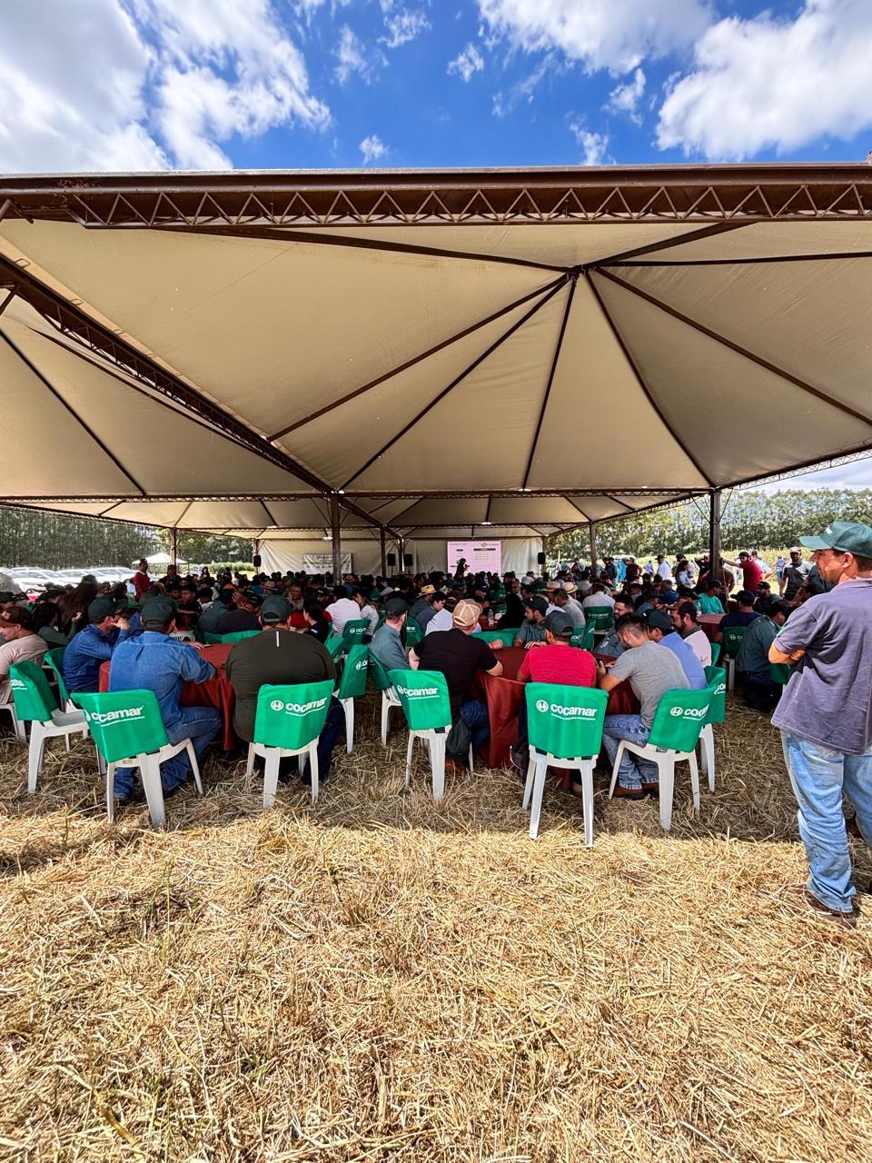 Dia de Campo Mandioca reuniu 400 participantes  na UDT da Cocamar em Guairaçá       