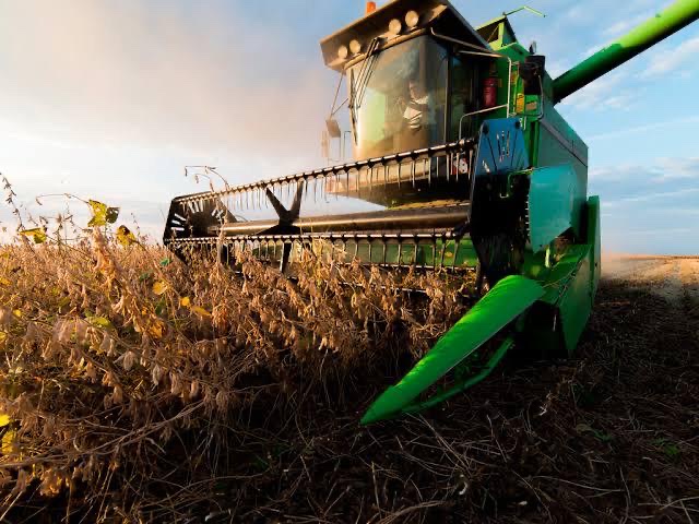 Produtores na expectativa de retomarem a colheita