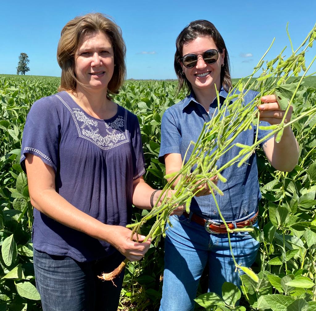 Família Manetti busca os melhores resultados