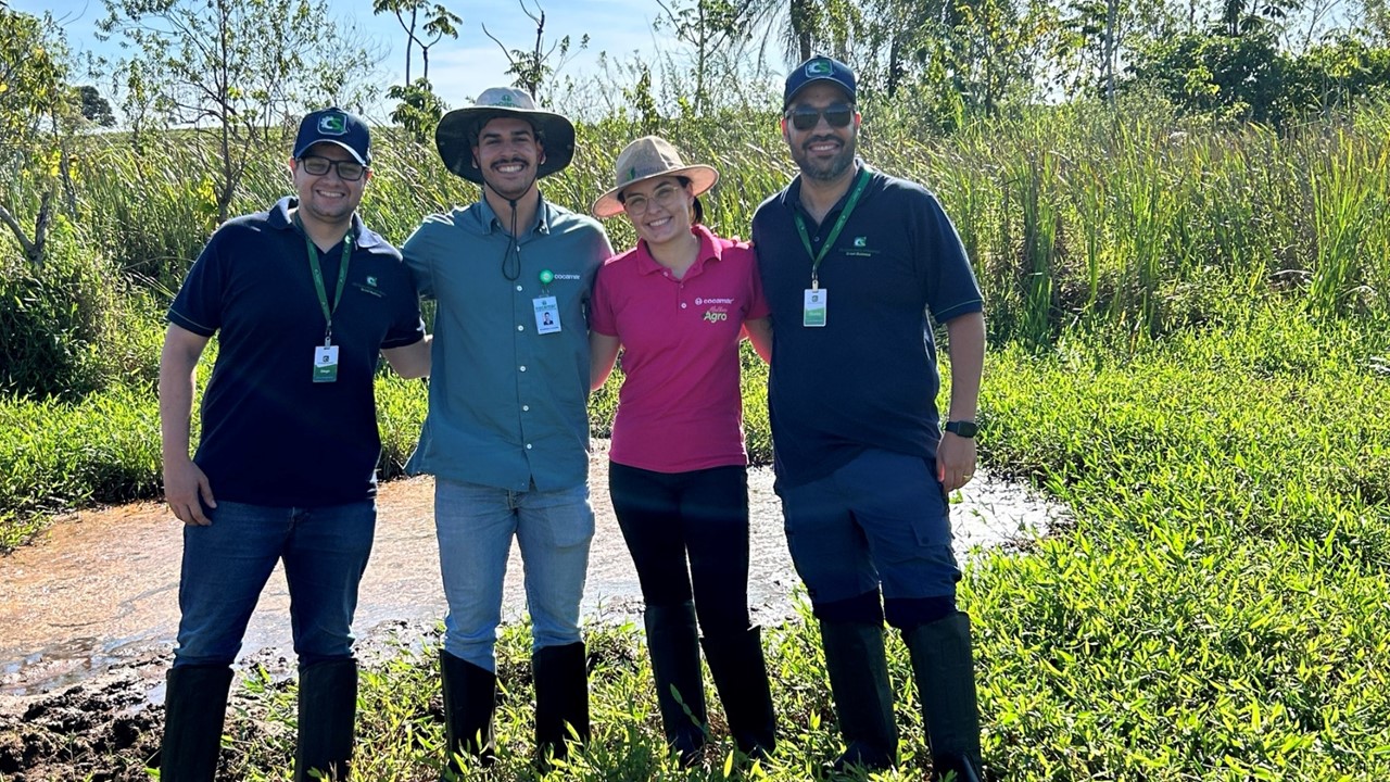 Projeto de Recuperação de Nascentes