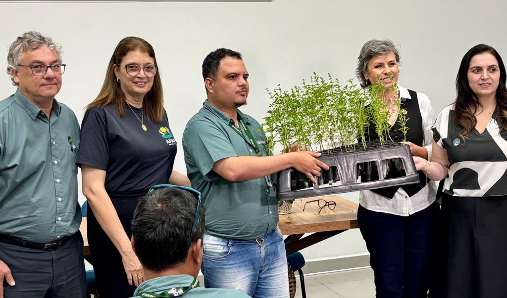 Programa Cultivar entrega 1,5 mil mudas de essências aromáticas para a Prefeitura de Maringá