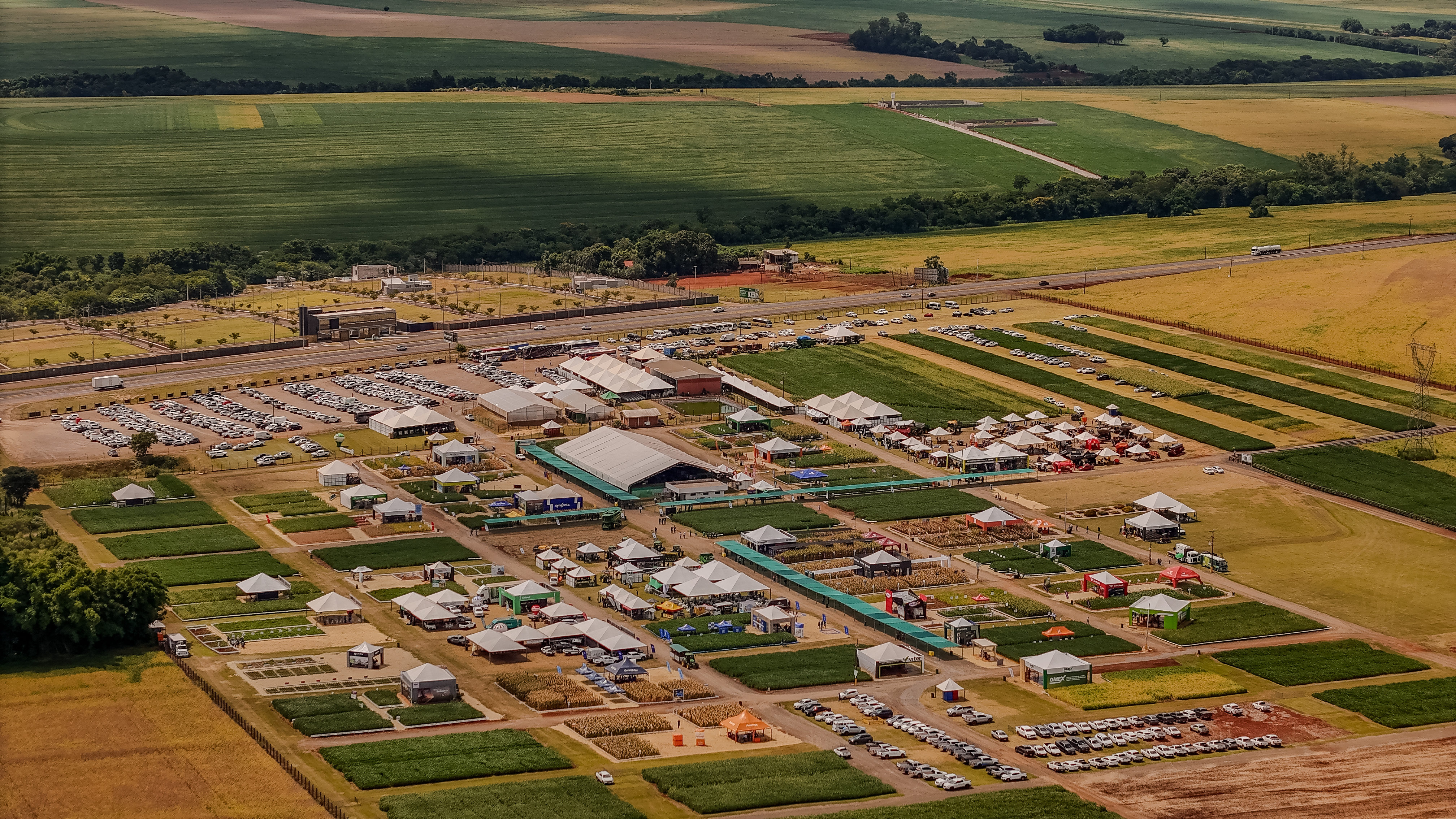 Safratec compensa emissões de CO2 com plantio de árvores