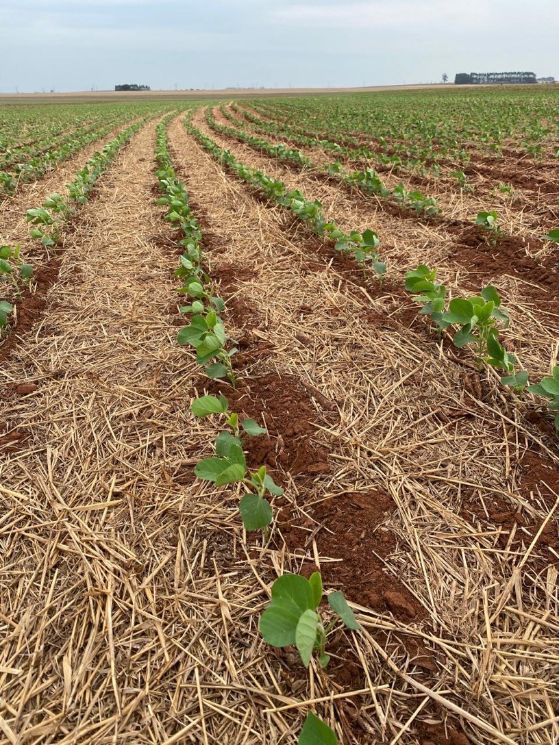 Grupo Mais, da Cocamar,  promove dias de campo sobre práticas conservacionistas