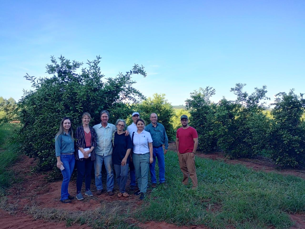 Mercado solidário quer apoiar mais os pequenos citricultores  