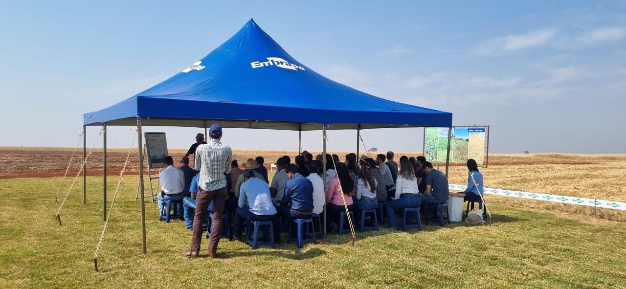 Cocamar é entusiasta do programa Soja Baixo Carbono, desenvolvido pela Embrapa Soja