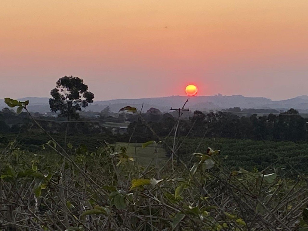 Produtor de soja precisa  aguardar um momento mais propício para iniciar a semeadura, alerta a Cocamar