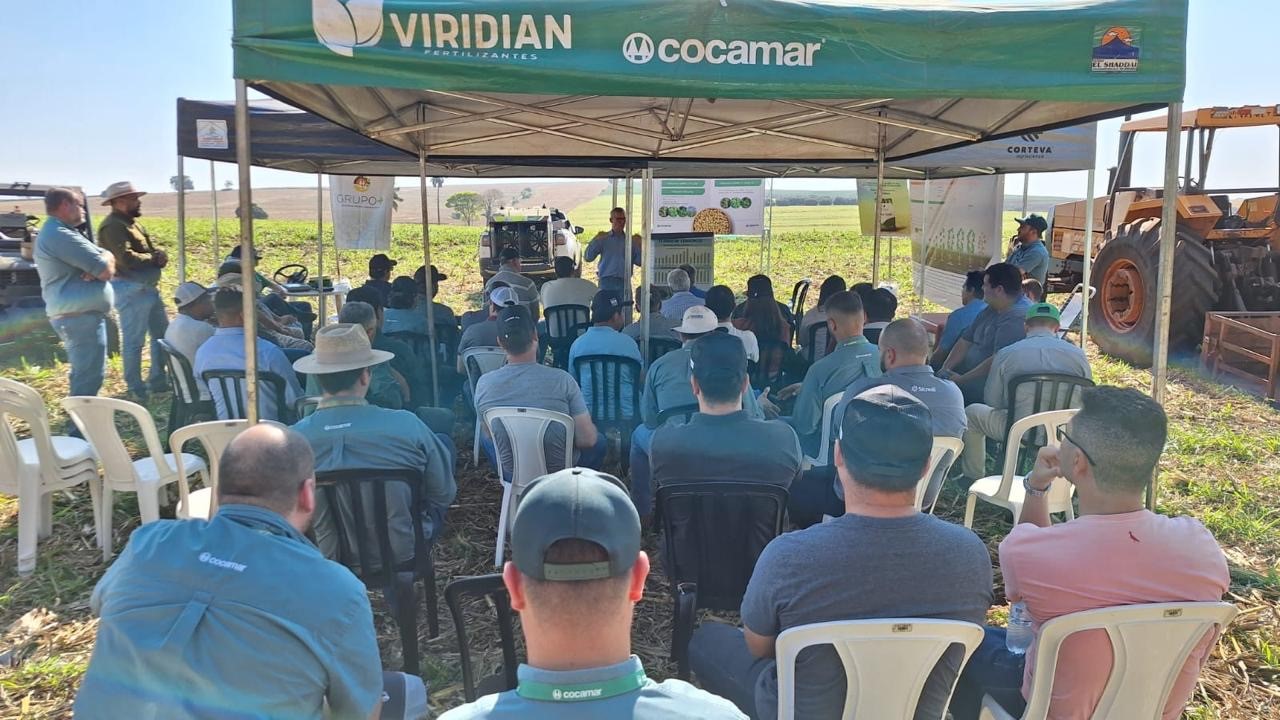 Práticas conservacionistas ajudam produtor a reduzir efeitos de veranicos