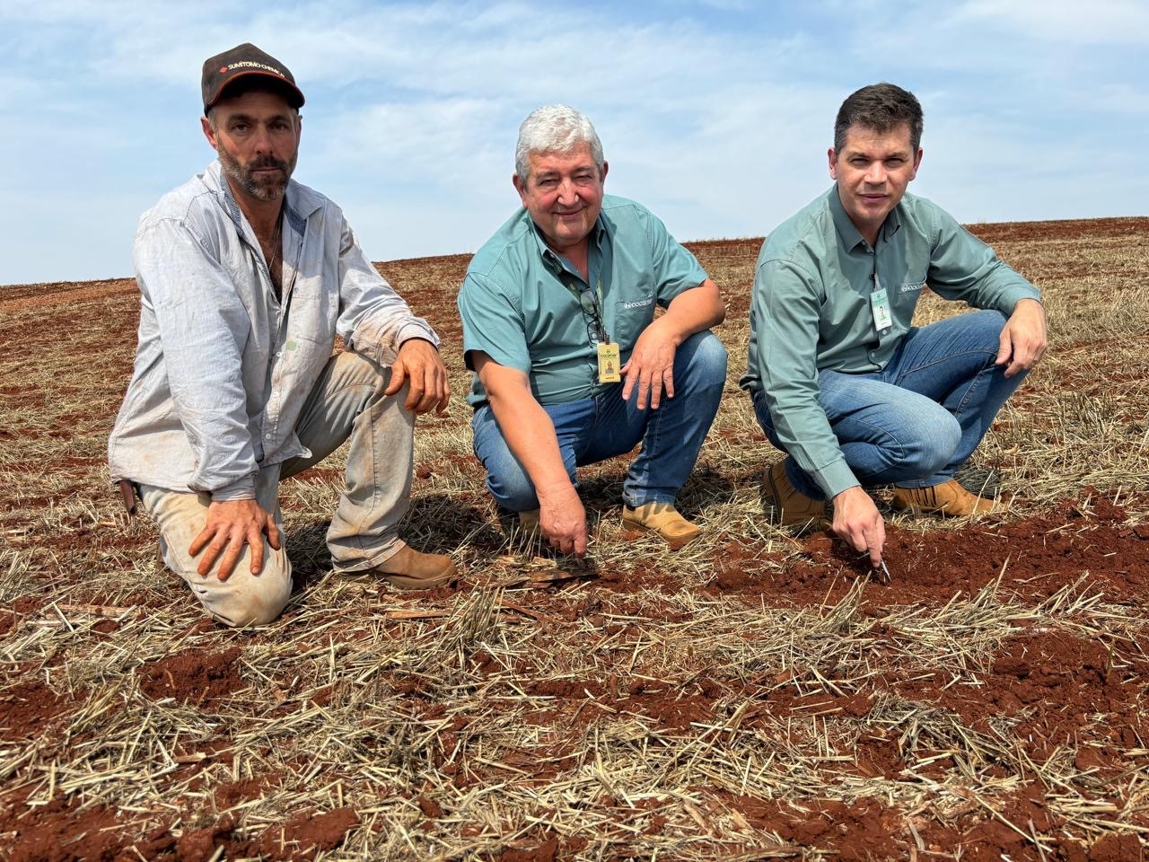 Com produção melhor, solo argiloso pressiona menos o arrendatário 