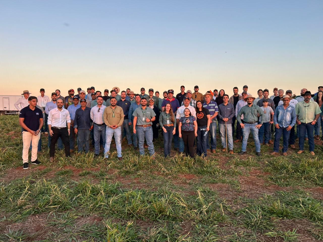2º Dia de Campo sobre ILP movimenta  produtores e técnicos em Ivinhema (MS)