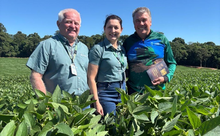 Ap&oacute;s um in&iacute;cio complicado, soja pode ter uma colheita melhor que a esperada