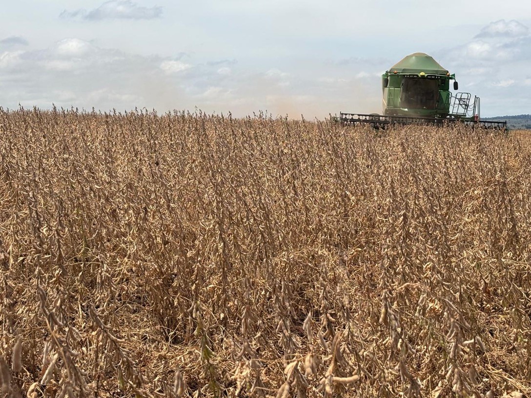 Irrigação viabiliza a lavoura no extremo noroeste do Paraná