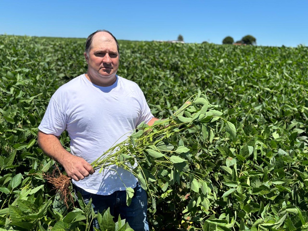 Produtores de Iporã (PR) enfrentam os desafios climáticos com o cultivo sustentável de grãos