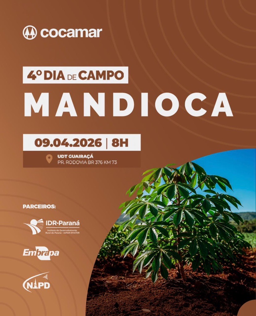 Cocamar promove o 4&ordm; Dia de Campo Mandioca no dia 9 de abril