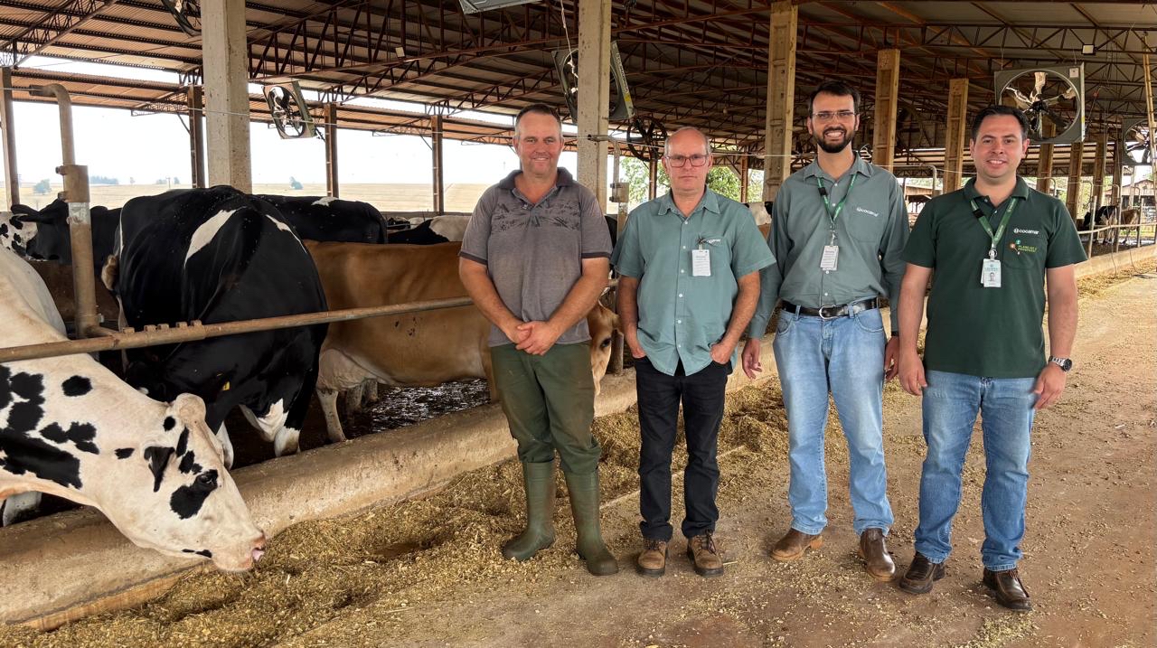 Leite e soja, uma dobradinha de sucesso em Arapongas  