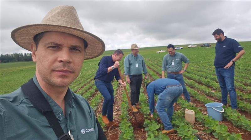 Comparação do solo e excesso de umidade causam morredeira de soja