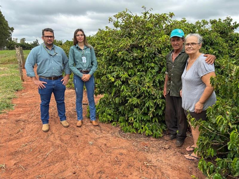 Café, gado e um pouco de tudo na pequena  propriedade rural