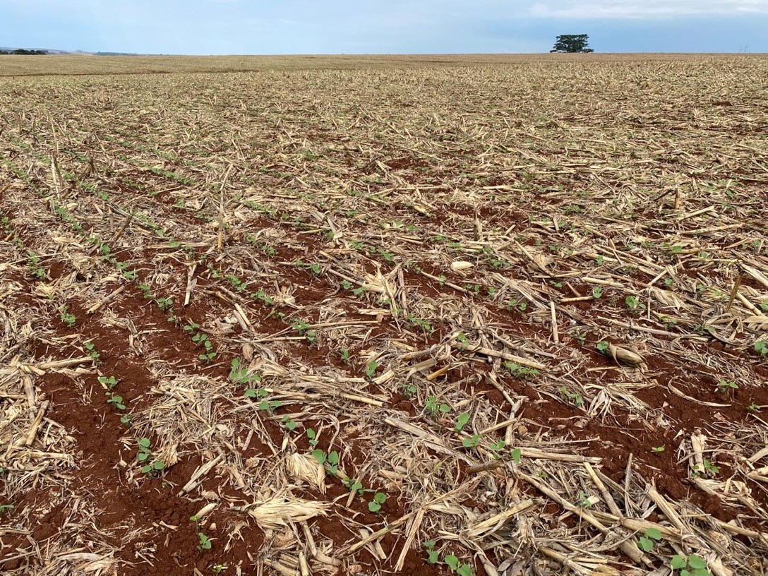 Manejo adequado do solo é tema de palestras com cooperados