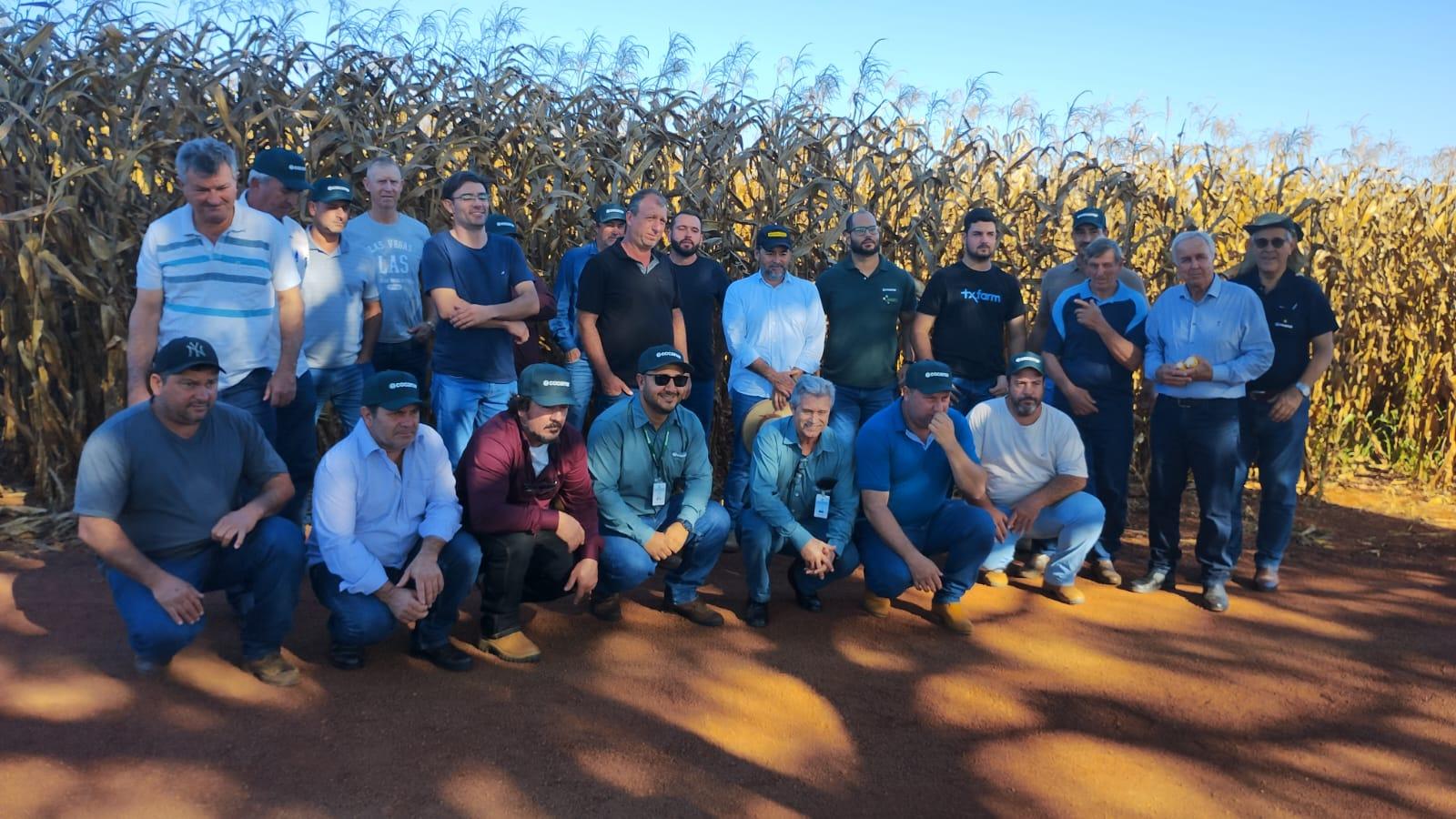 Cooperados visitam a região de Água Boa (MT)