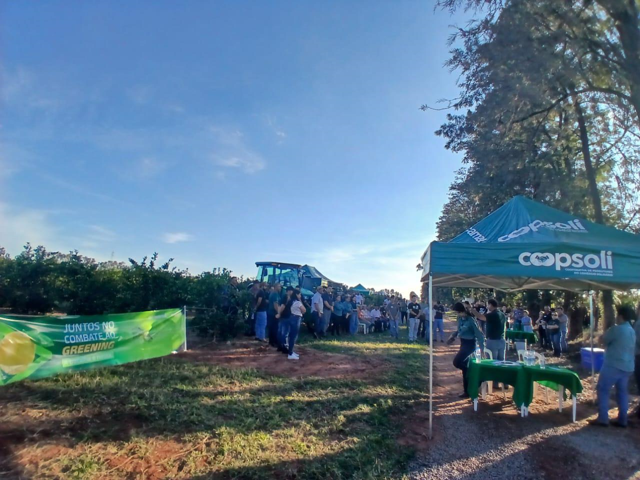 2º Dia de Campo de Citros reúne produtores e técnicos em Alto Paraná
