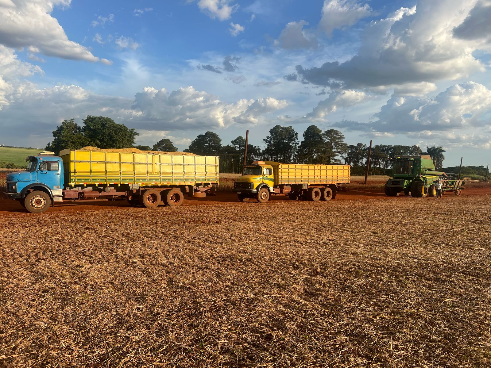 Extremos de produtividade marcam a safra de soja na região oeste paulista 