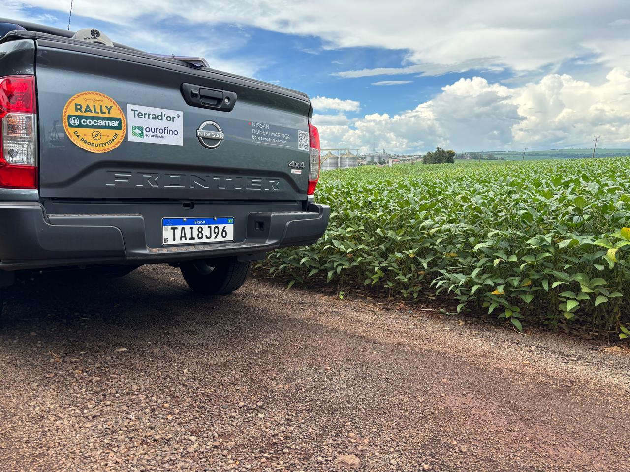 Rally: chuvas melhoram as expectativas dos produtores, mas perdas já são consideradas  