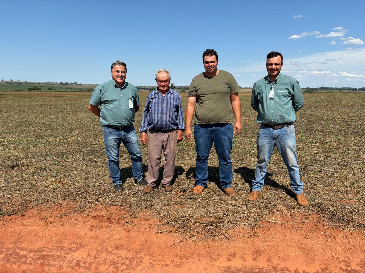 Em Atalaia, família Rebuci mantém a tradição de proteger o solo com braquiária